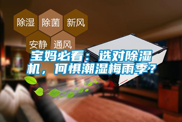 寶媽必看：選對除濕機，何懼潮濕梅雨季？