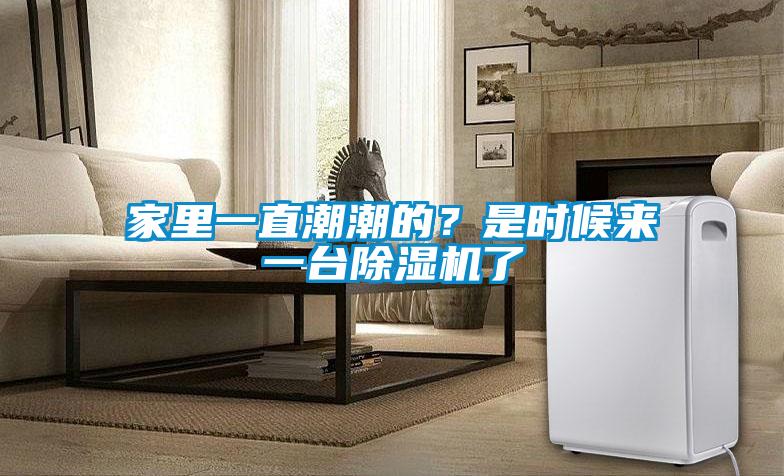 家里一直潮潮的？是時候來一臺除濕機(jī)了