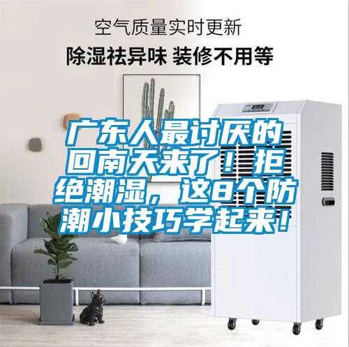 廣東人最討厭的回南天來了！拒絕潮濕，這8個防潮小技巧學(xué)起來！