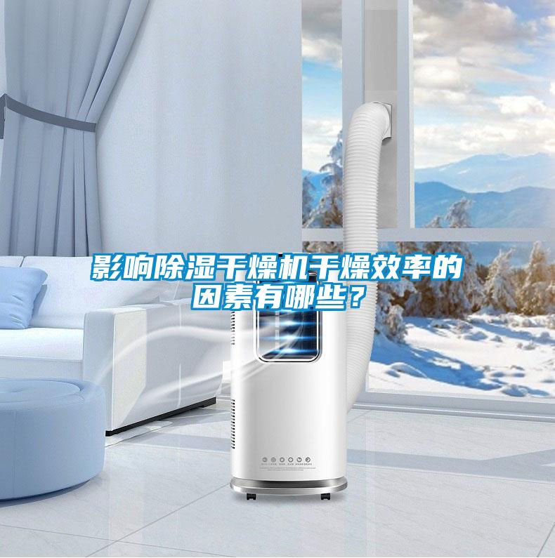 影響除濕干燥機干燥效率的因素有哪些？