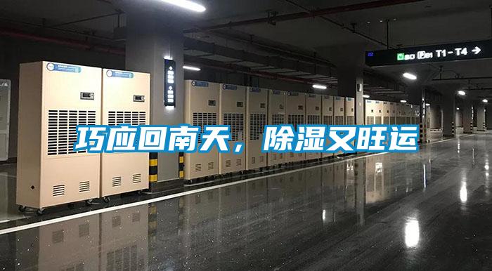 巧應(yīng)回南天，除濕又旺運(yùn)