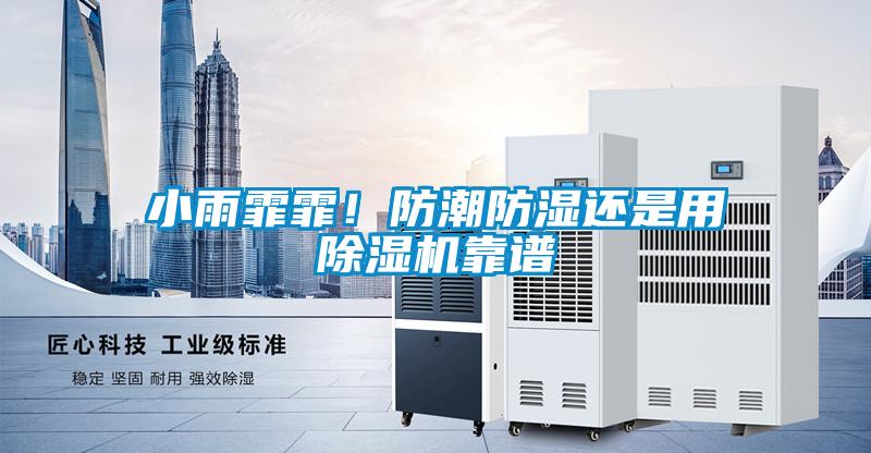 小雨霏霏！防潮防濕還是用除濕機(jī)靠譜