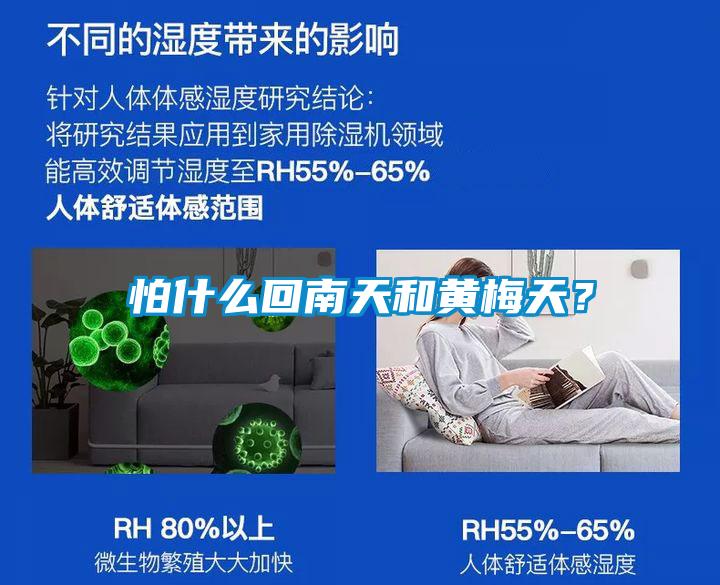 怕什么回南天和黃梅天？