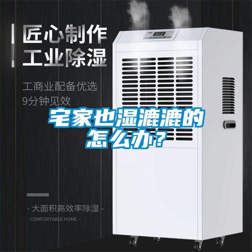 宅家也濕漉漉的怎么辦？