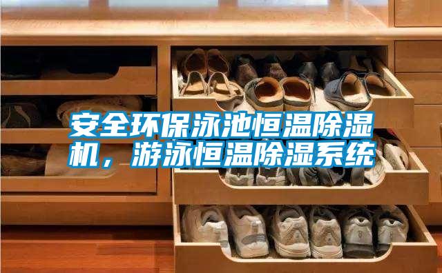 安全環(huán)保泳池恒溫除濕機,游泳恒溫除濕系統(tǒng)
