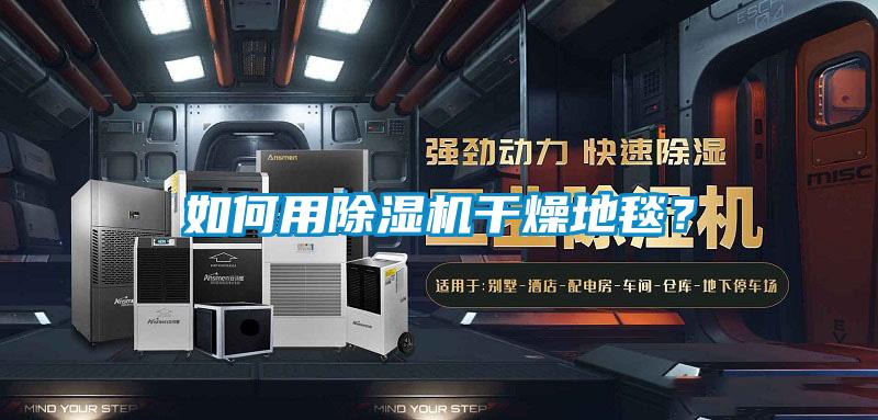 如何用除濕機(jī)干燥地毯？
