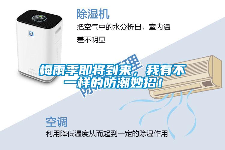 梅雨季即將到來，我有不一樣的防潮妙招！