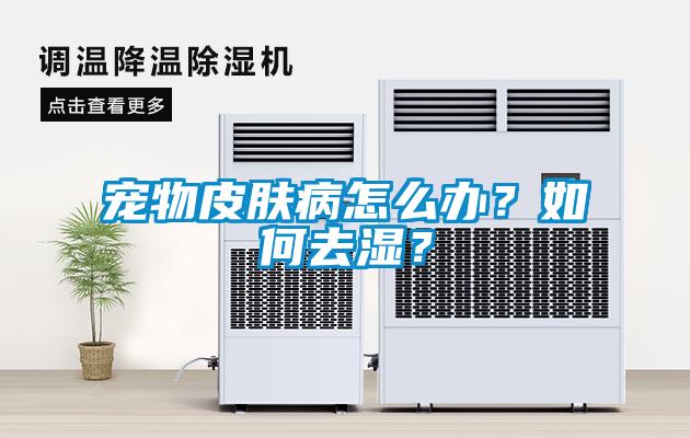 寵物皮膚病怎么辦？如何去濕？