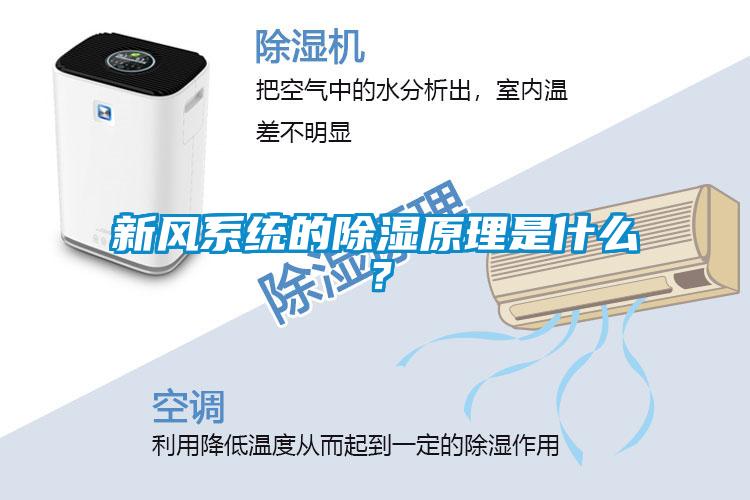 新風(fēng)系統(tǒng)的除濕原理是什么？