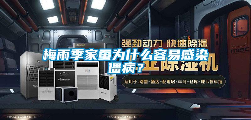 梅雨季家蠶為什么容易感染僵??？