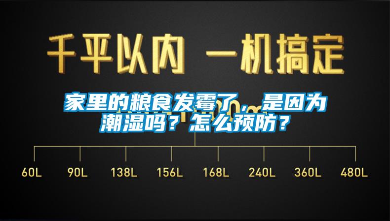 家里的糧食發(fā)霉了，是因?yàn)槌睗駟幔吭趺搭A(yù)防？