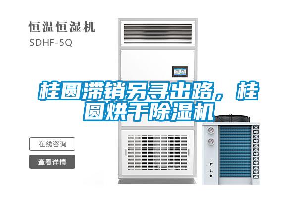 桂圓滯銷另尋出路，桂圓烘干除濕機