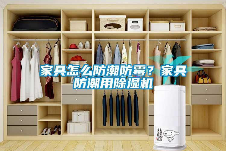 家具怎么防潮防霉？家具防潮用除濕機(jī)