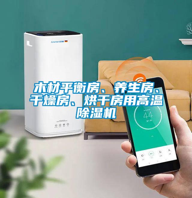木材平衡房、養(yǎng)生房、干燥房、烘干房用高溫除濕機