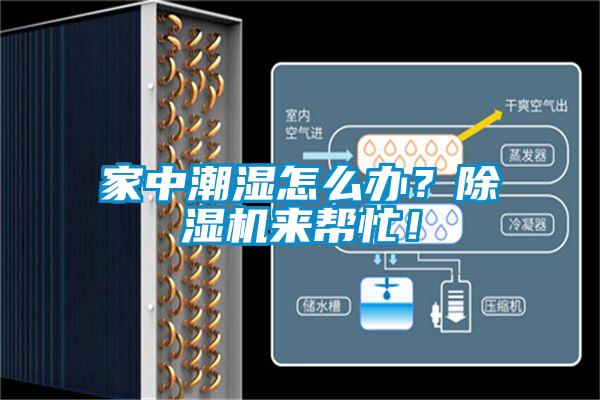 家中潮濕怎么辦？除濕機來幫忙！