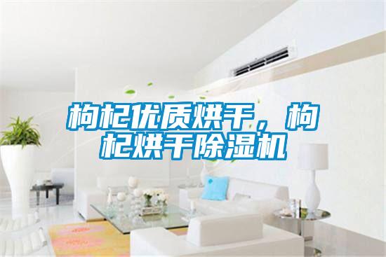 枸杞優(yōu)質(zhì)烘干，枸杞烘干除濕機(jī)