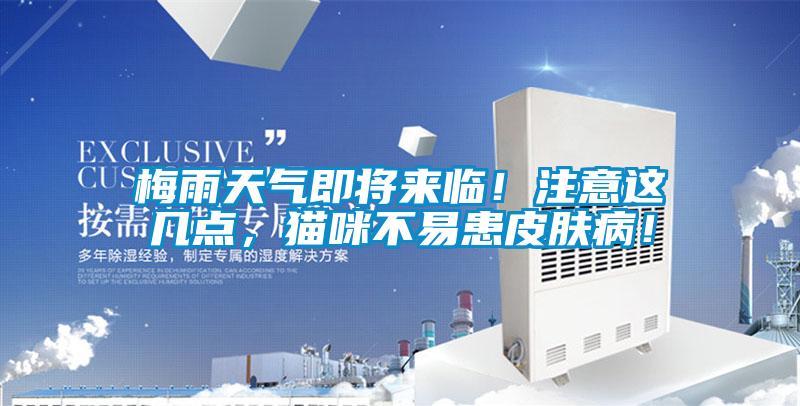 梅雨天氣即將來(lái)臨！注意這幾點(diǎn)，貓咪不易患皮膚??！