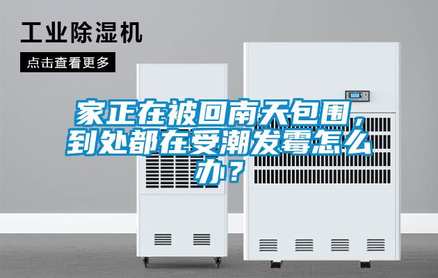 家正在被回南天包圍，到處都在受潮發(fā)霉怎么辦？