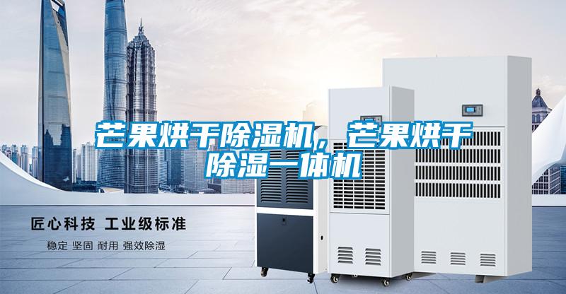 芒果烘干除濕機，芒果烘干除濕一體機