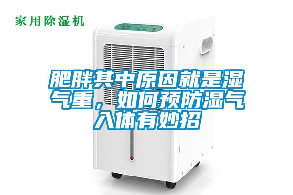 肥胖其中原因就是濕氣重，如何預(yù)防濕氣入體有妙招