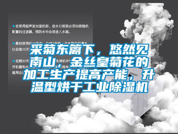 采菊東籬下，悠然見南山，金絲皇菊花的加工生產提高產能，升溫型烘干工業(yè)除濕機
