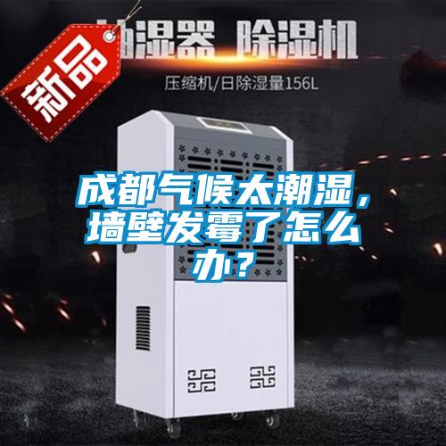 成都?xì)夂蛱睗瘢瑝Ρ诎l(fā)霉了怎么辦？