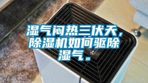 濕氣悶熱三伏天，除濕機(jī)如何驅(qū)除濕氣。