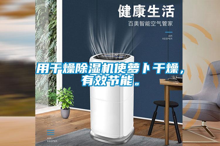 用干燥除濕機(jī)使蘿卜干燥，有效節(jié)能。