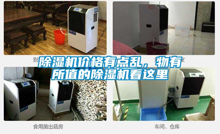 除濕機(jī)價(jià)格有點(diǎn)亂，物有所值的除濕機(jī)看這里