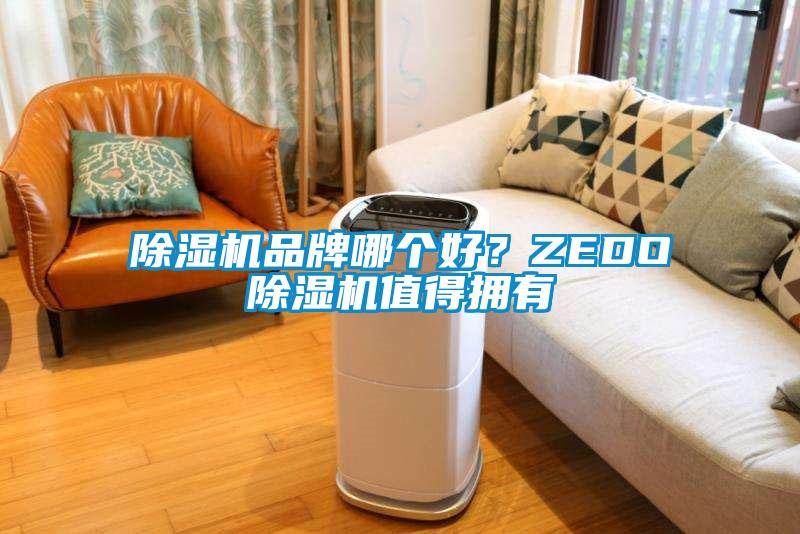 除濕機(jī)品牌哪個(gè)好？ZEDO除濕機(jī)值得擁有
