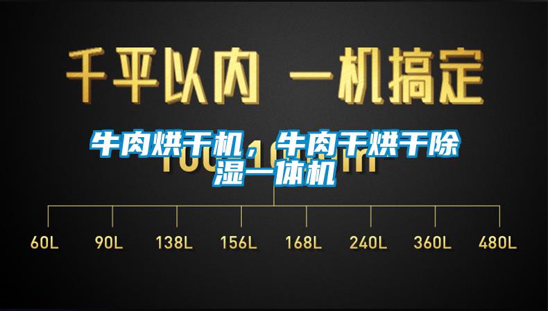 牛肉烘干機，牛肉干烘干除濕一體機