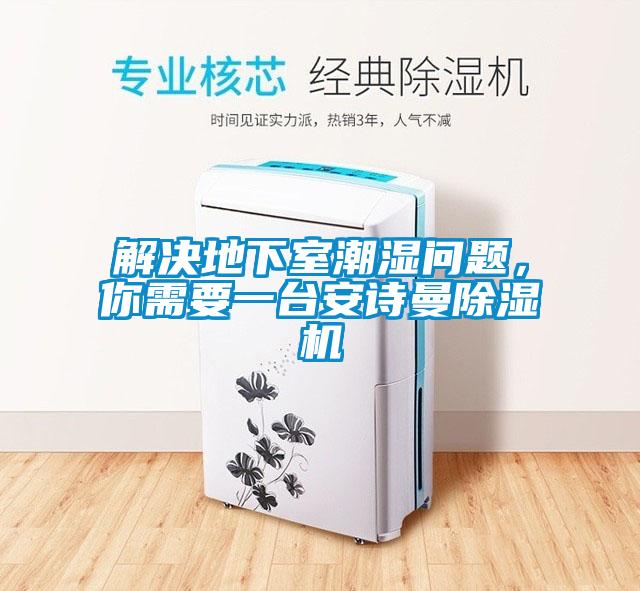 解決地下室潮濕問題，你需要一臺安詩曼除濕機