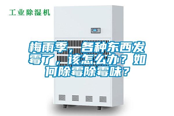 梅雨季，各種東西發(fā)霉了，該怎么辦？如何除霉除霉味？