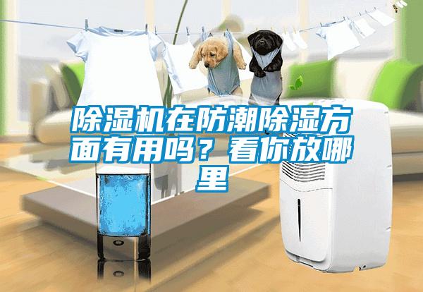 除濕機在防潮除濕方面有用嗎？看你放哪里