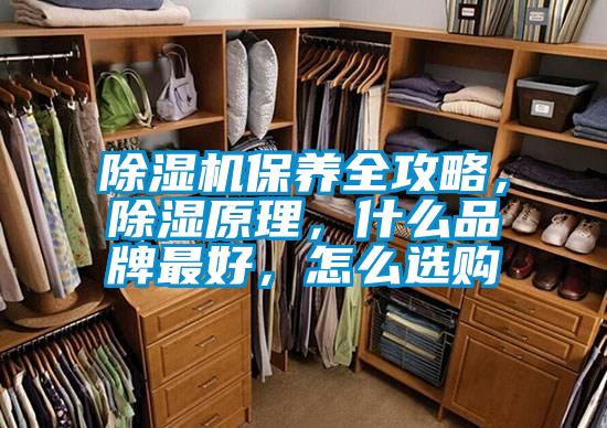 除濕機保養(yǎng)全攻略，除濕原理，什么品牌最好，怎么選購