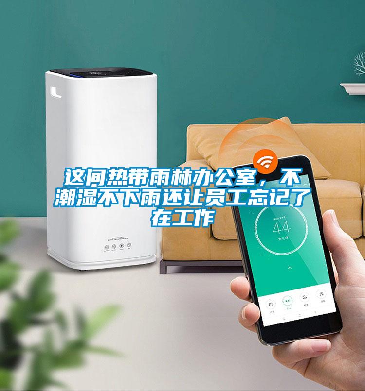 這間熱帶雨林辦公室，不潮濕不下雨還讓員工忘記了在工作