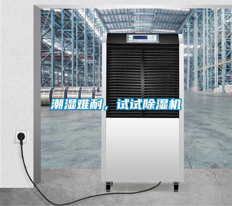 潮濕難耐，試試除濕機(jī)