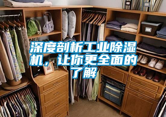 深度剖析工業(yè)除濕機(jī)，讓你更全面的了解