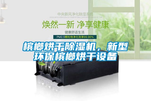 檳榔烘干除濕機(jī)，新型環(huán)保檳榔烘干設(shè)備