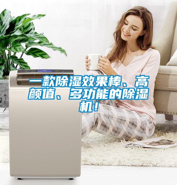 一款除濕效果棒、高顏值、多功能的除濕機(jī)！