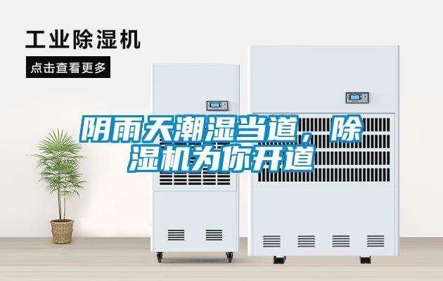 陰雨天潮濕當?shù)?，除濕機為你開道