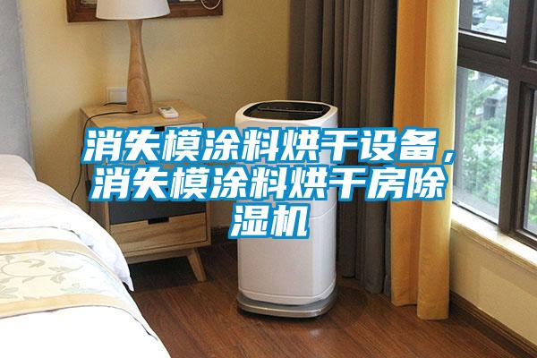 消失模涂料烘干設(shè)備，消失模涂料烘干房除濕機(jī)