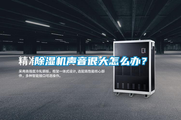 除濕機(jī)聲音很大怎么辦？