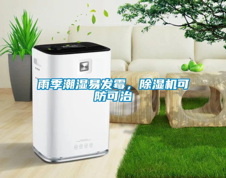 雨季潮濕易發(fā)霉，除濕機(jī)可防可治