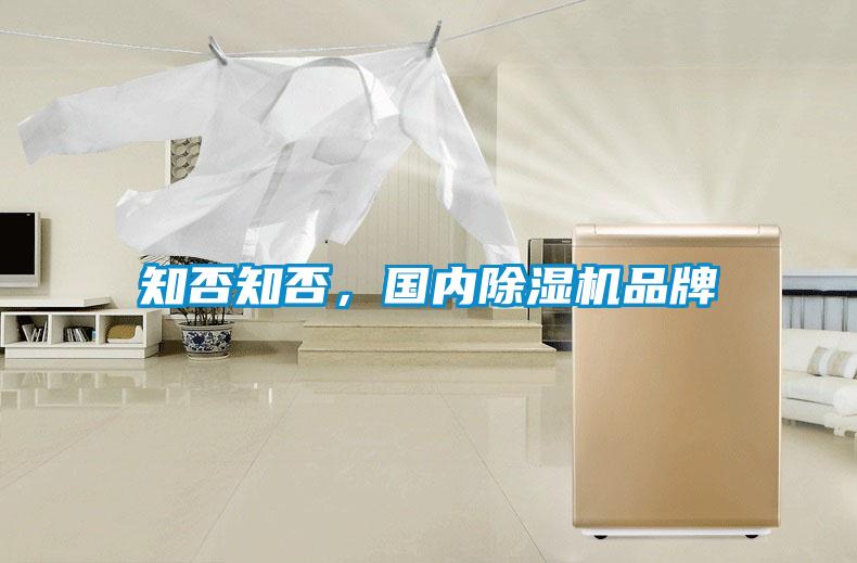 知否知否，國(guó)內(nèi)除濕機(jī)品牌