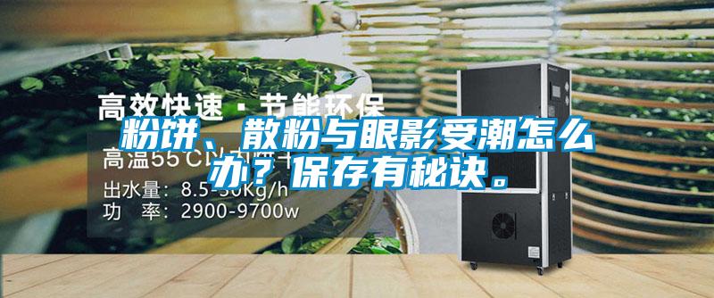 粉餅、散粉與眼影受潮怎么辦？保存有秘訣。