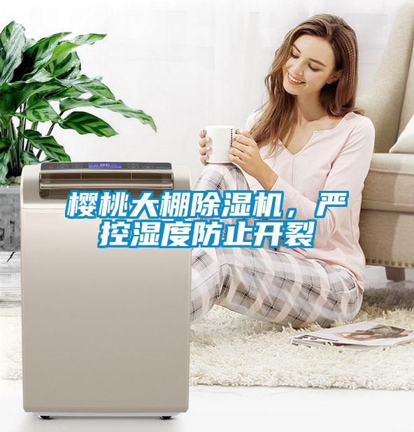 櫻桃大棚除濕機，嚴(yán)控濕度防止開裂