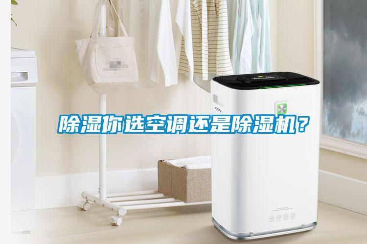 除濕你選空調(diào)還是除濕機(jī)？