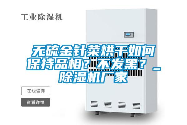 無硫金針菜烘干如何保持品相？不發(fā)黑？_除濕機廠家