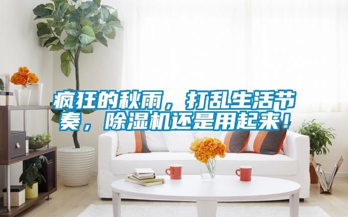 瘋狂的秋雨，打亂生活節(jié)奏，除濕機還是用起來！